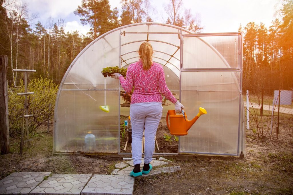 Transformez votre jardin avec un kit de petite serre : guide pratique pour débutant